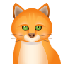 Kucing